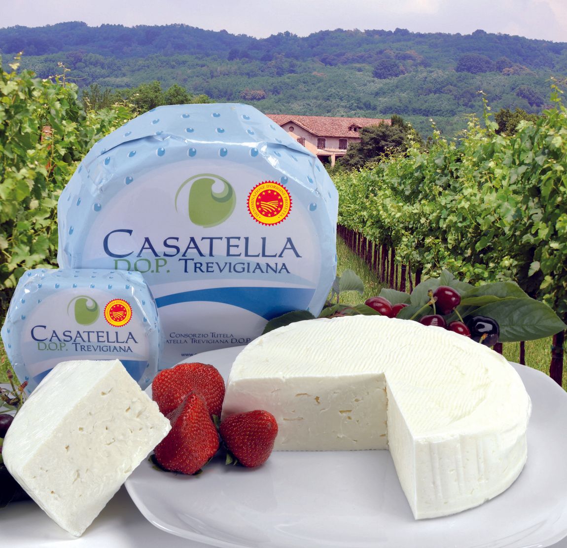 Casatella Trevigiana spicchi di fragole su un piatto, con vista su vigneti e colline