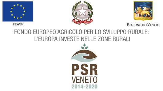 Loghi dell'UE, della Regione Veneto e del PSR Veneto 2014-2020 con testo relativo ai finanziamenti italiani per lo sviluppo rurale.