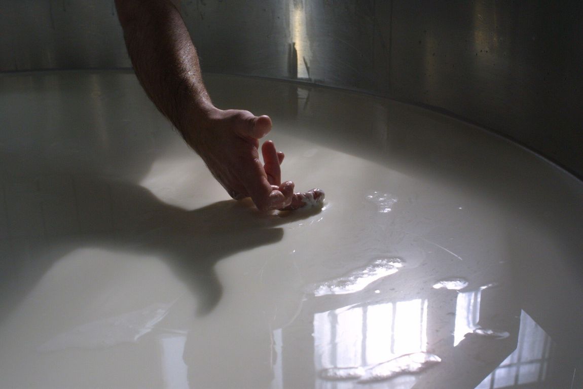 Una mano liscia un liquido bianco in una ciotola vicino al riflesso di una finestra.