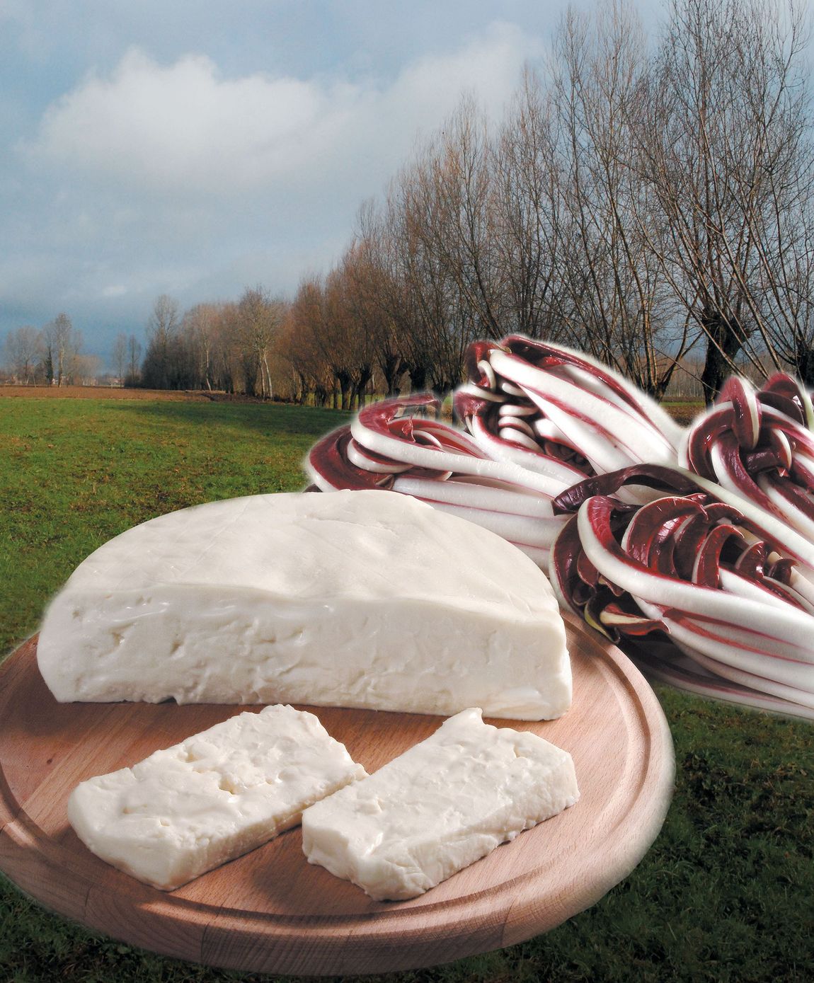 Formaggio bianco rotondo e radicchio striato su un piatto all'aperto in un prato.