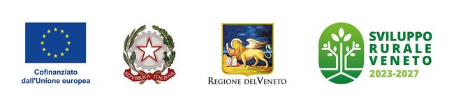 Loghi dell'UE, dell'Italia e della Regione Veneto su sfondo bianco con l'emblema verde