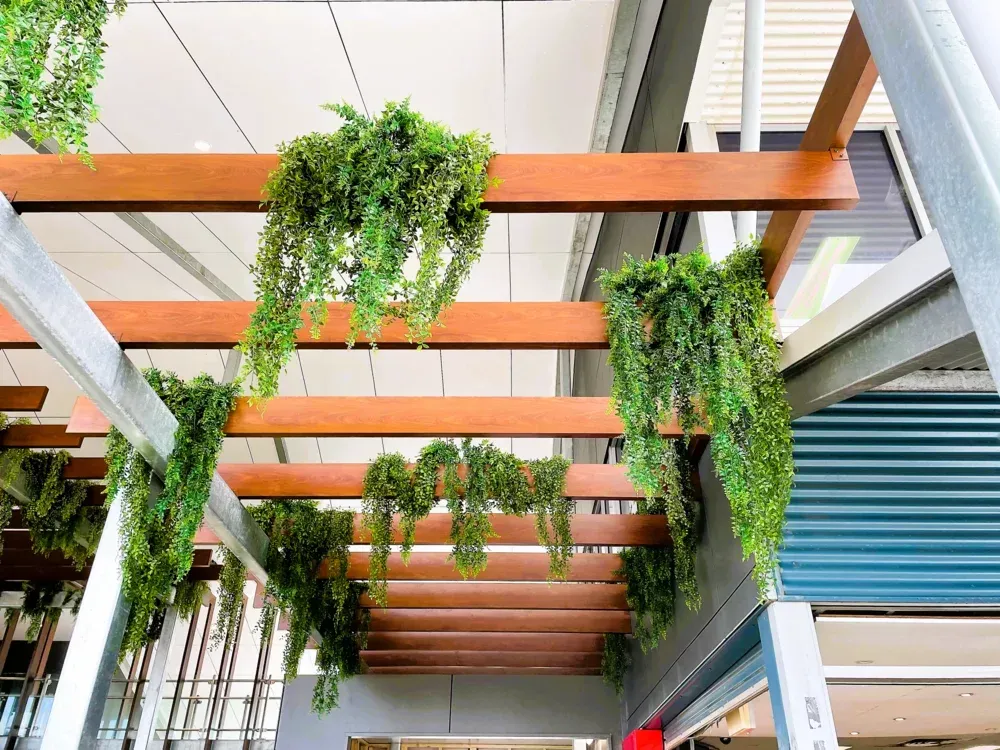 A wooden pergola with plants hanging from the ceiling.