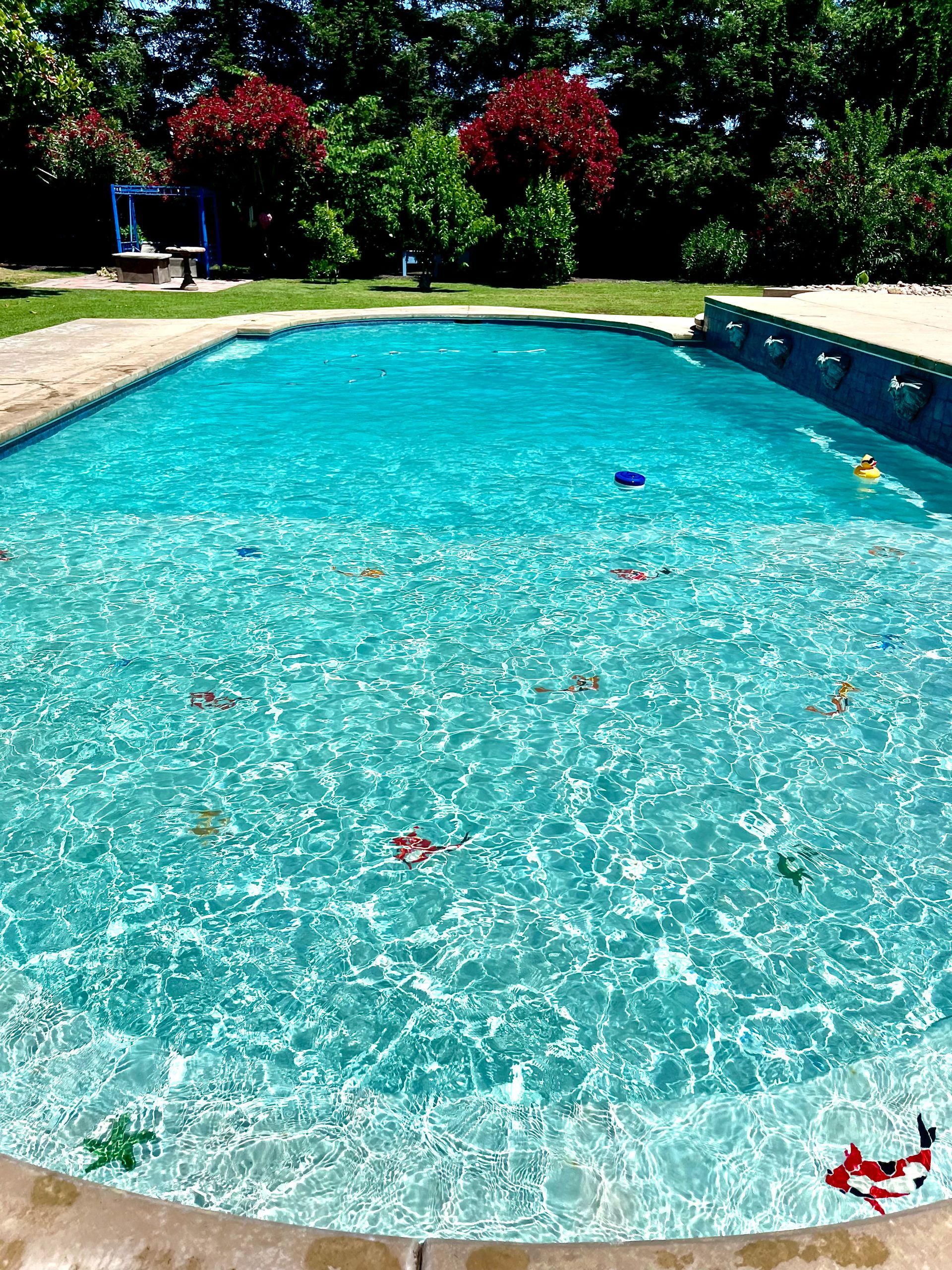 Swimming pool with toys floating in the clear, blue water; lush greenery in the background.