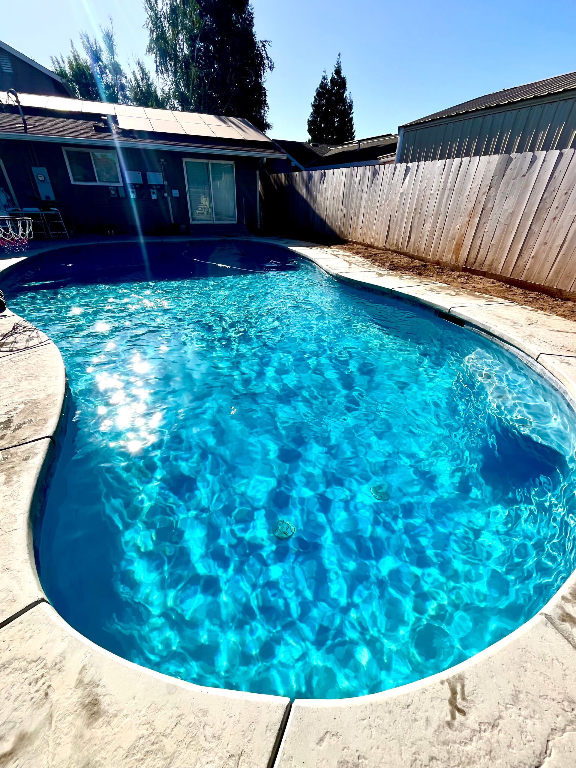 Blue swimming pool in backyard, concrete patio, wooden fence, sunny day.