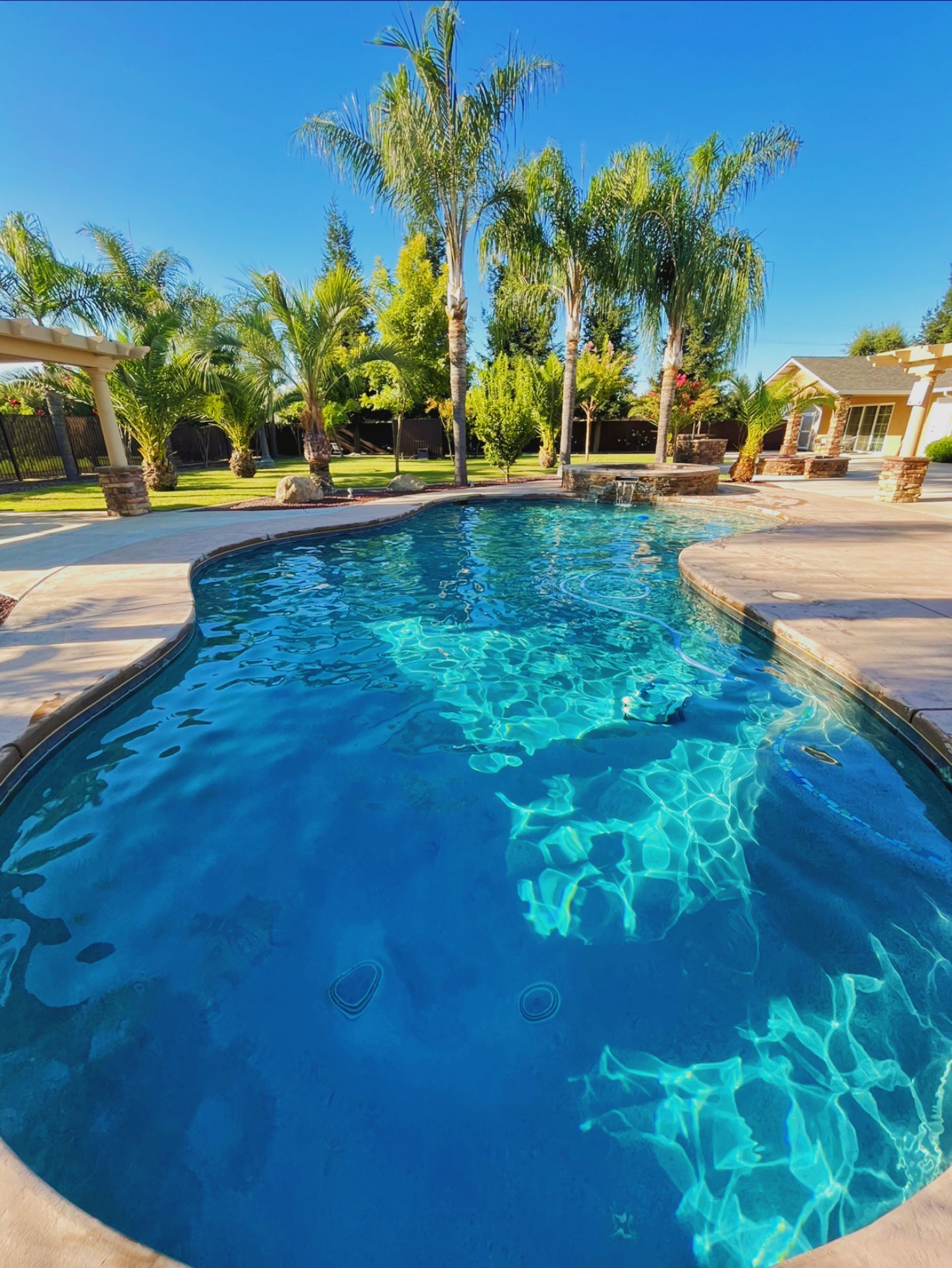 Swimming pool with blue water surrounded by concrete and palm trees under a blue sky.