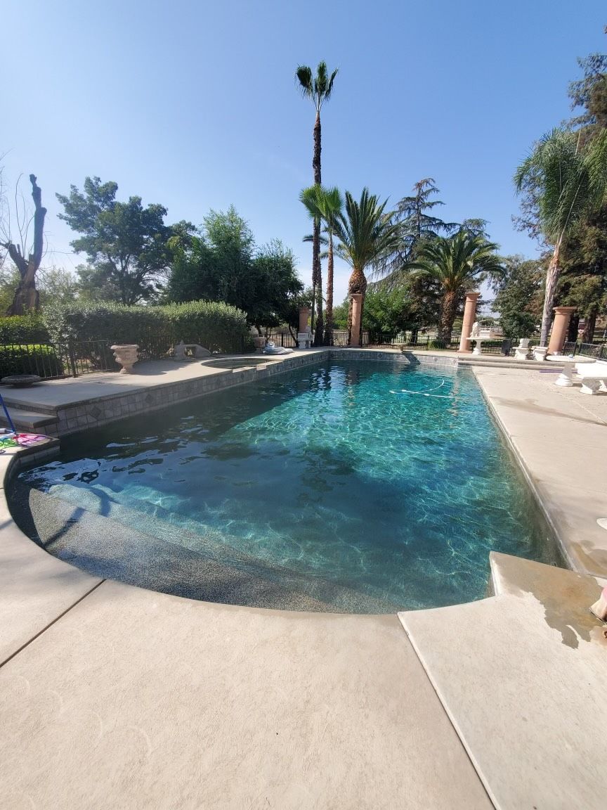 Swimming pool in backyard with palm trees and blue water. Concrete patio surrounds the pool.