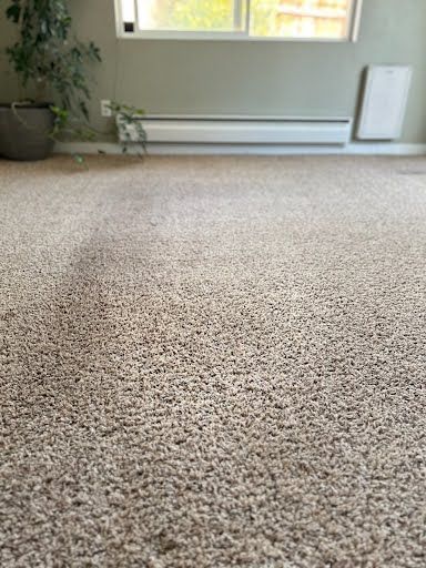 cleaned fresh carpet, cleaned by the best carpet cleaning professionals