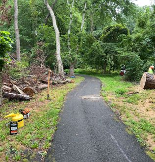 White Truck - Tree & Stump Removal Services in Vienna, VA White Truck - Tree & Stump Removal Services in Vienna, VA