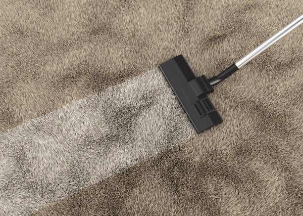 Vacuum Cleaner Cleaning a Brown Carpet, Leaving a Clean White Path — Clean Coast Carpet Cleaning in Port Stephens, NSW