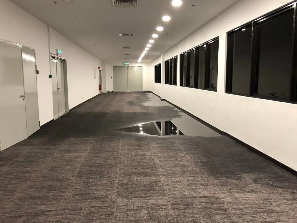 Hallway with water damage on the carpet, white walls, black windows and gray doors. — Clean Coast Carpet Cleaning in Port Stephens, NSW