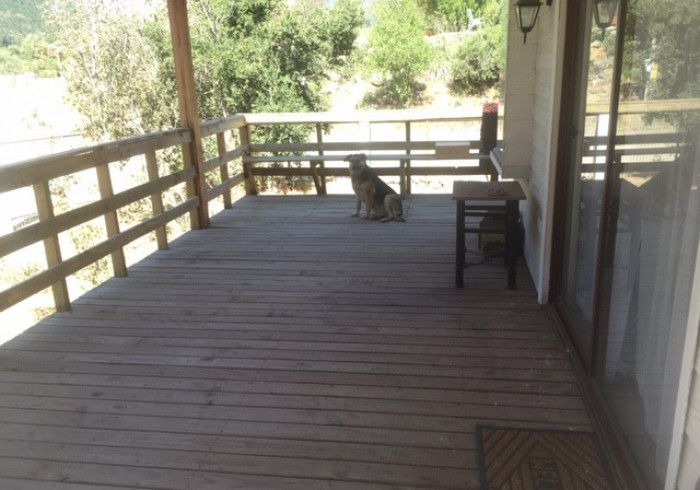 Terraza de madera con un perro sentado, barandilla, silla y árboles al fondo.