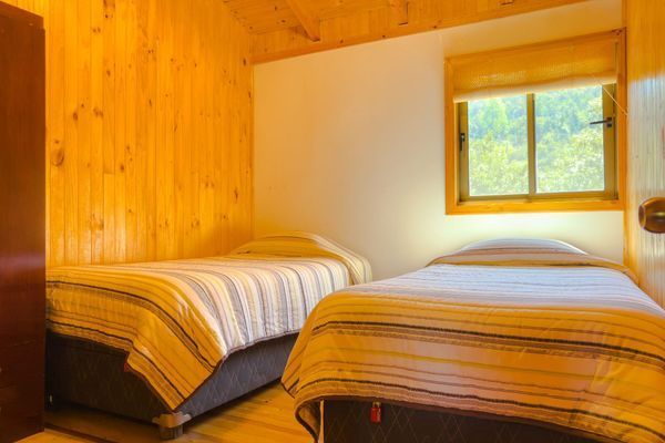 Acogedora habitación de madera con dos camas individuales y una ventana soleada con vistas a los árboles.