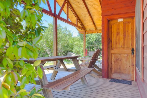 Cabaña de madera con porche, mesa de picnic, tumbona y puerta abierta, rodeada de vegetación.