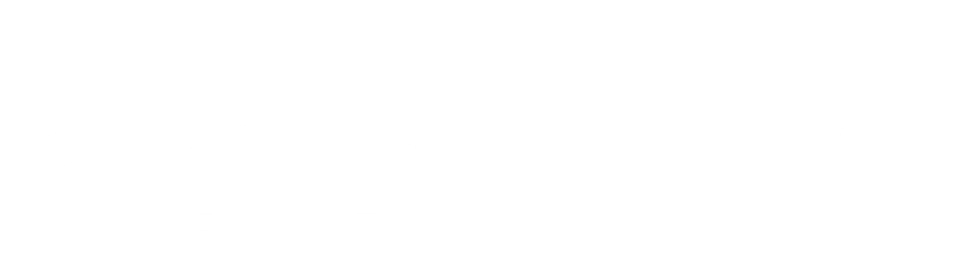 A white background with a few lines on it
