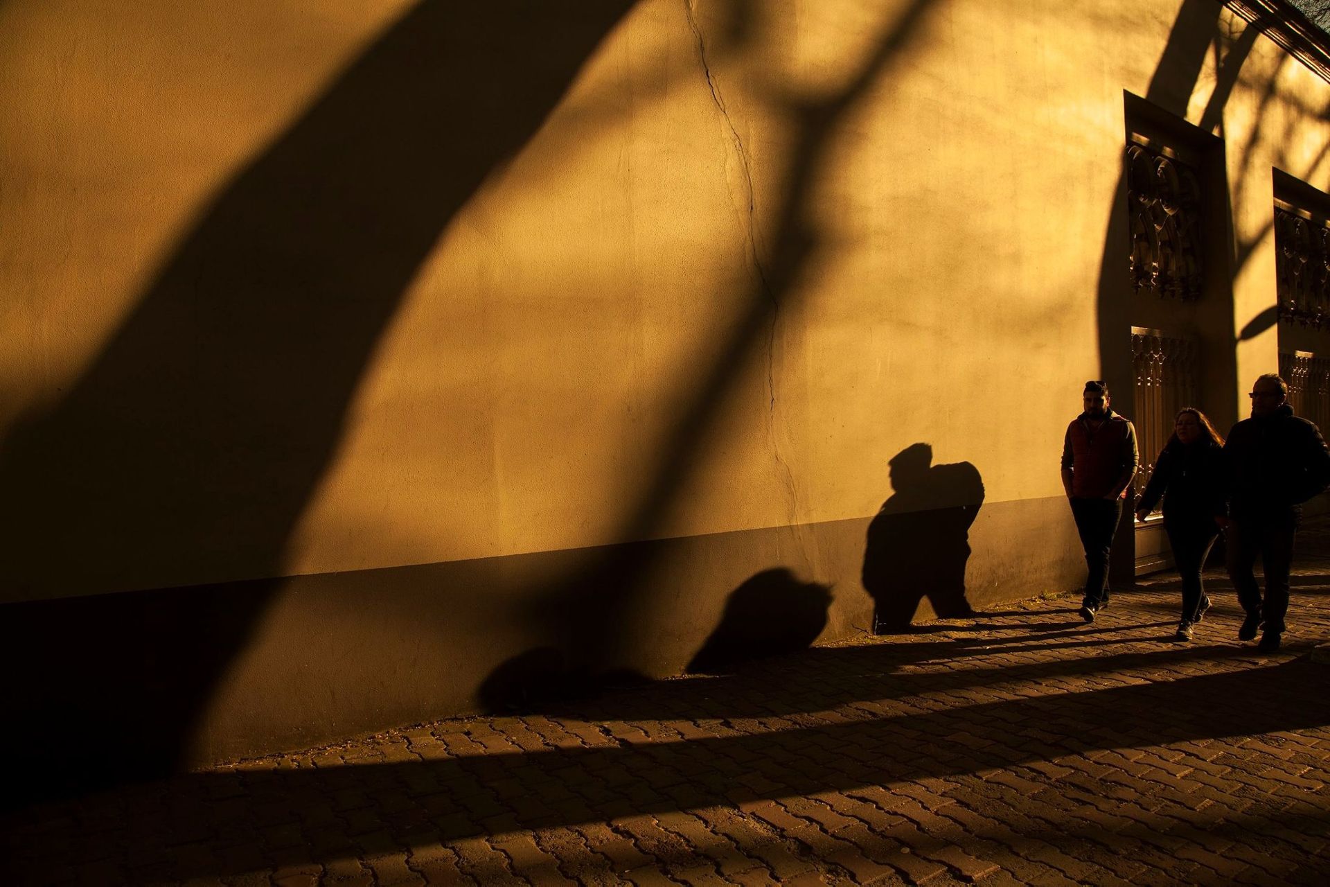 People walking in long shadows across a sunlit wall and cobblestone path at sunset