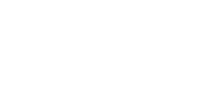 Blank white rectangle with a thin black border at the bottom edge