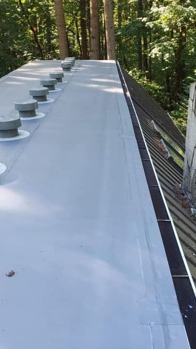 Flat white rooftop deck with skylights, bordered by a railing and surrounded by trees
