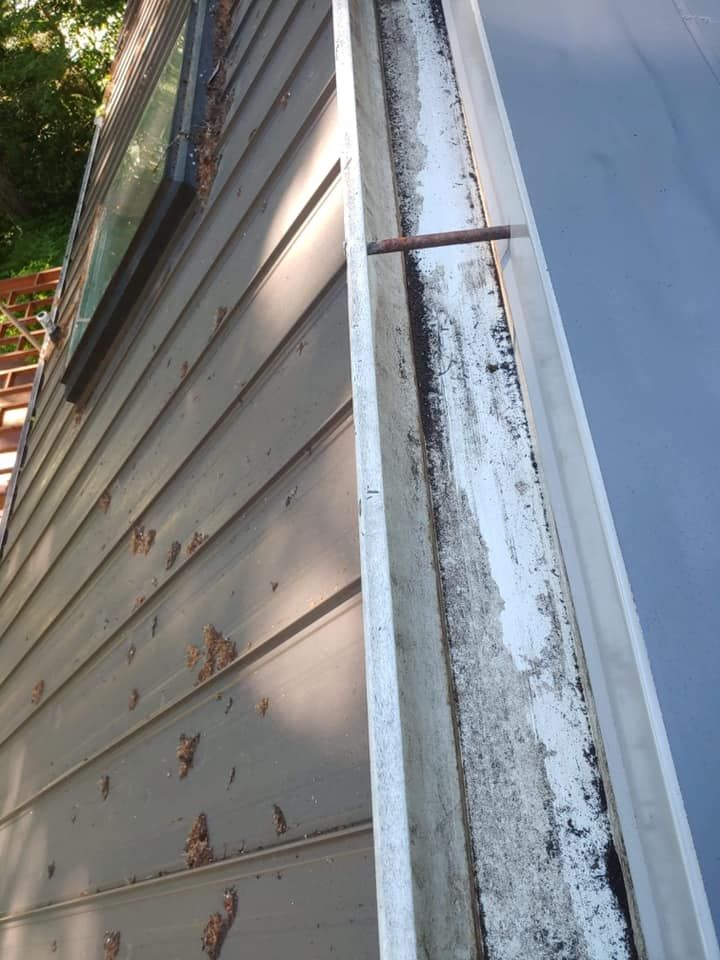 Close-up of weathered house siding with peeling paint and a rusted metal bracket by a wall corner