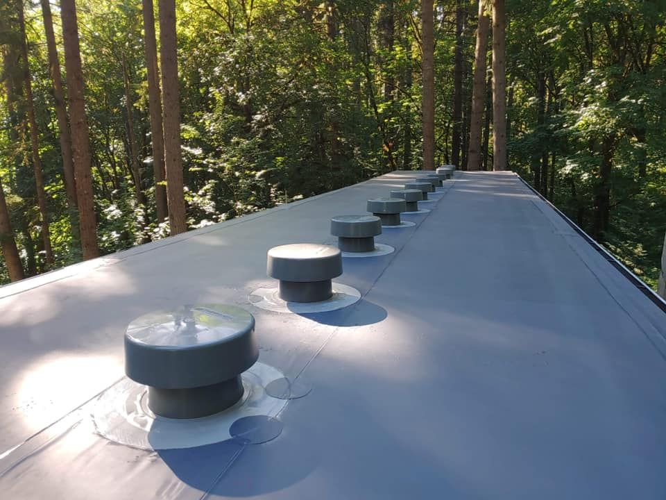 Row of roof vents on a gray rooftop surrounded by trees