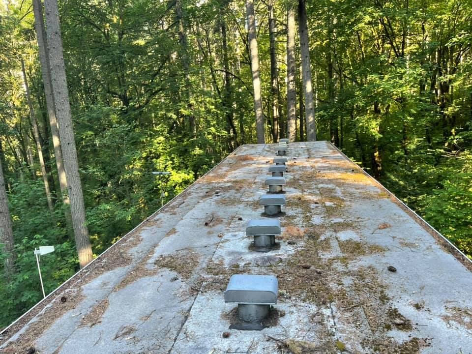 Rusty metal roof with bolts in a green wooded area viewed from above