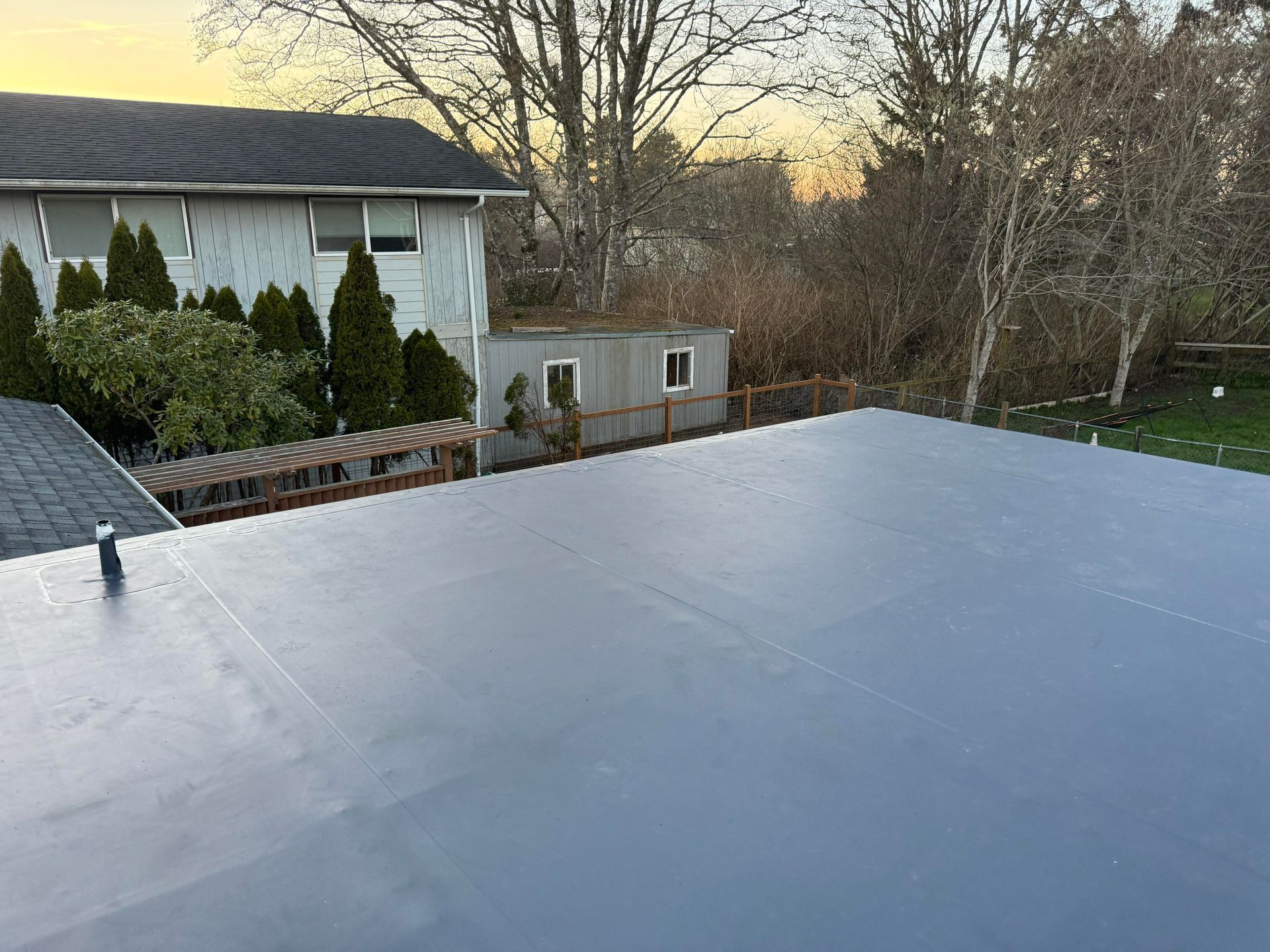 Flat gray rooftop at sunset with trees and neighboring houses in the background