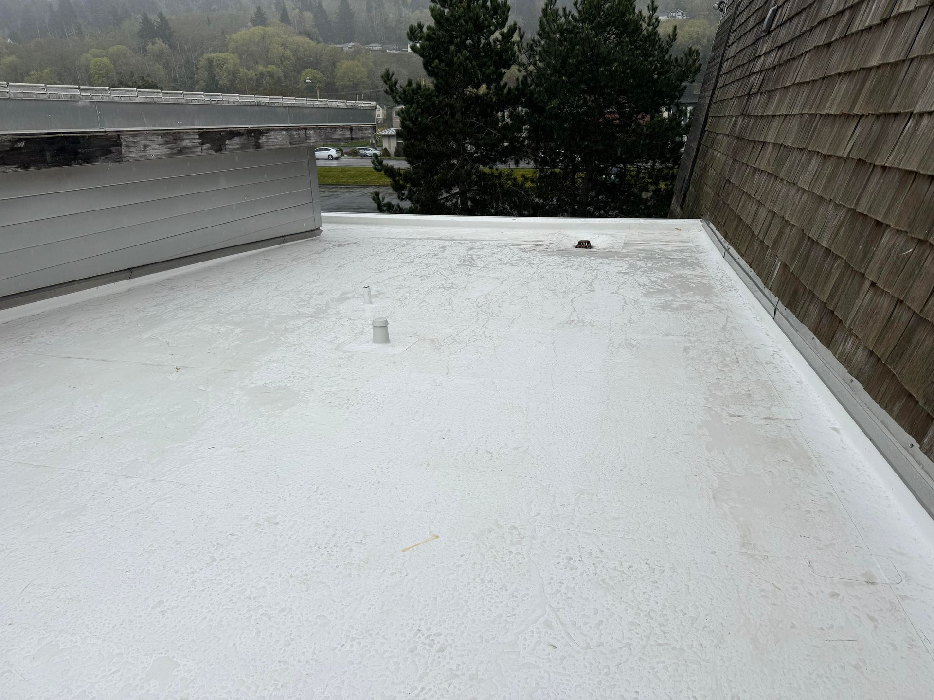Duro-Last Single-Ply Membrane Roof System with a tree and overcast landscape in the background