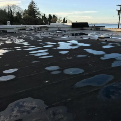 A bubbling commercial roof on a dark flat roof near a waterfront at dawn.