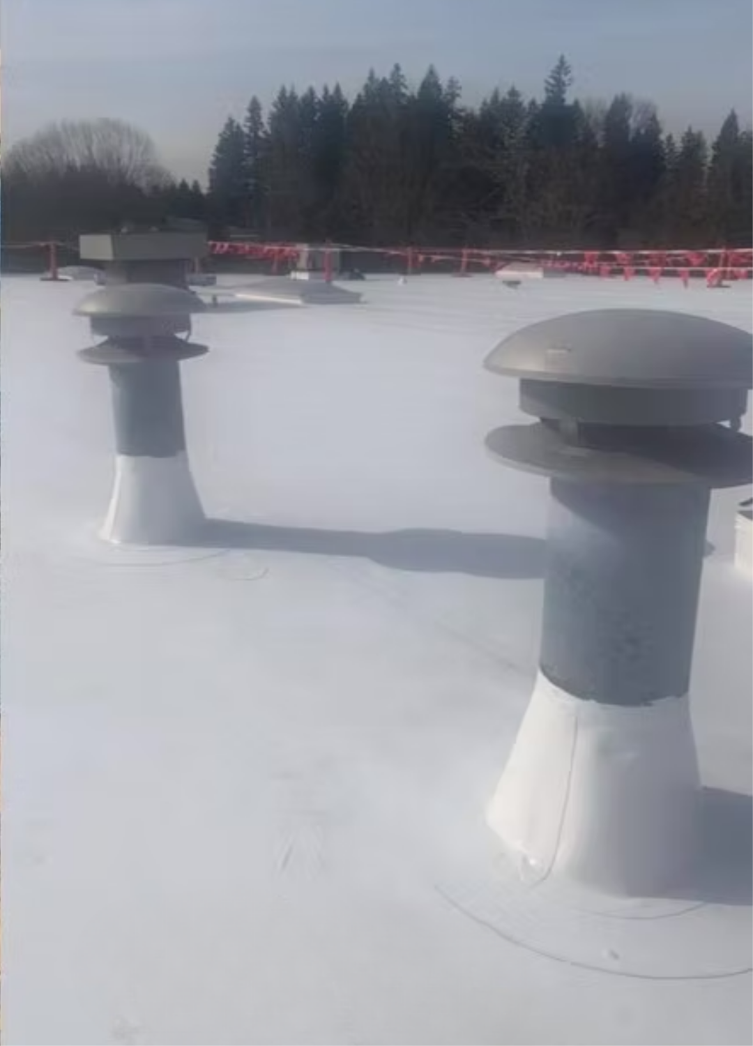 Business's rooftop with two gray vent caps and distant trees under an overcast sky