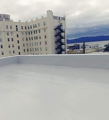 A roof with Duro-Last Single-Ply Membrane Roof System overlooking a beige building and distant water under a cloudy sky.