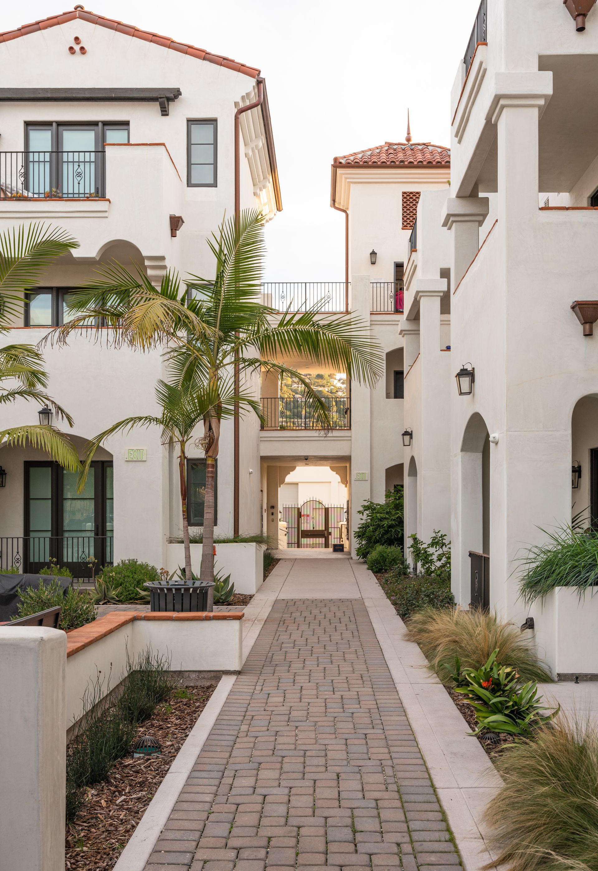 A brick walkway between two white buildings with palm trees.