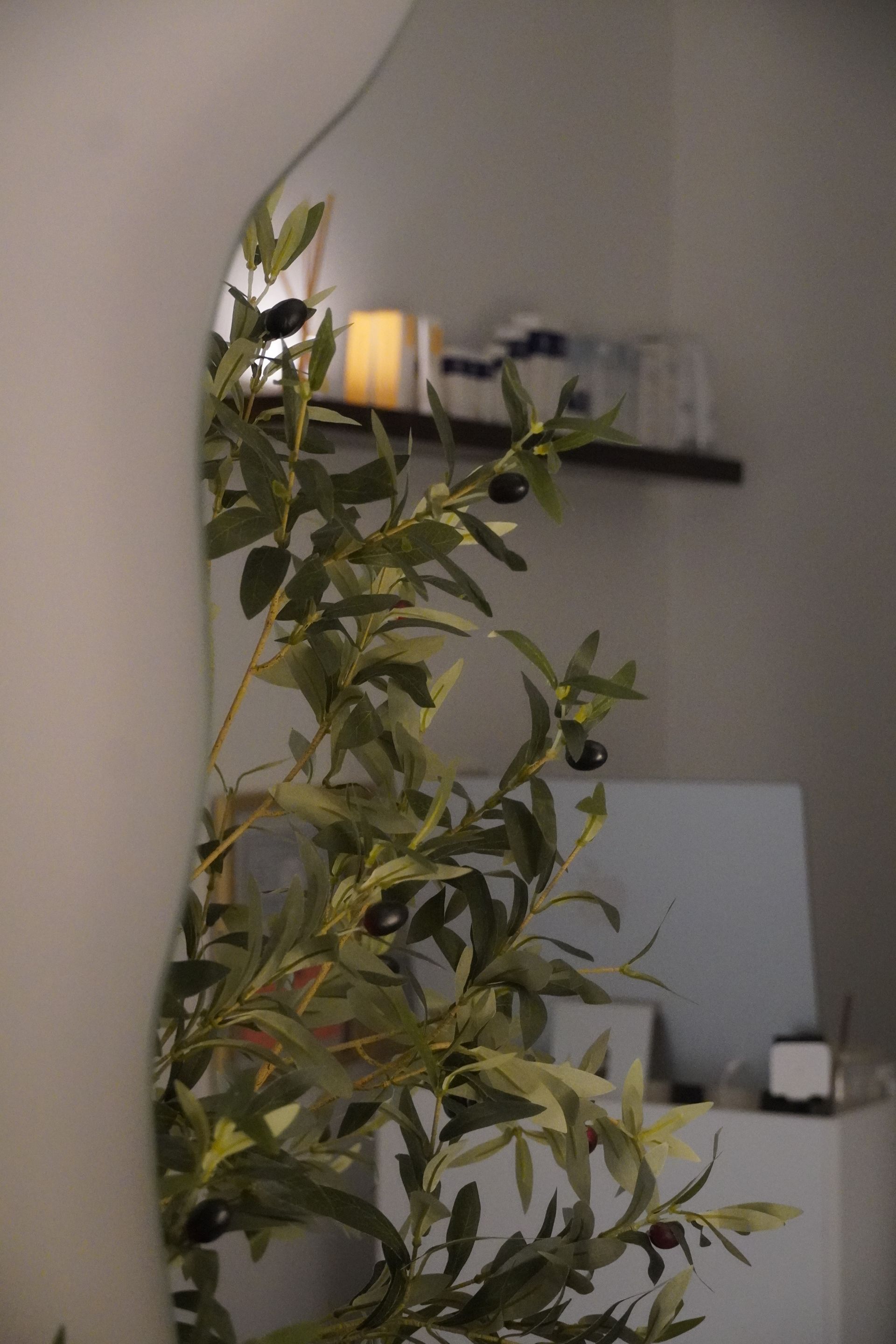 gymno studio
