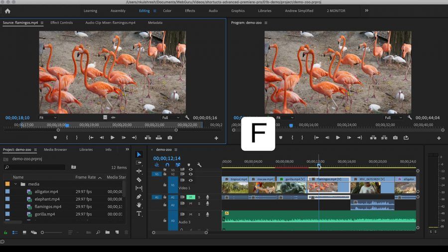A computer screen with a bunch of flamingos on it