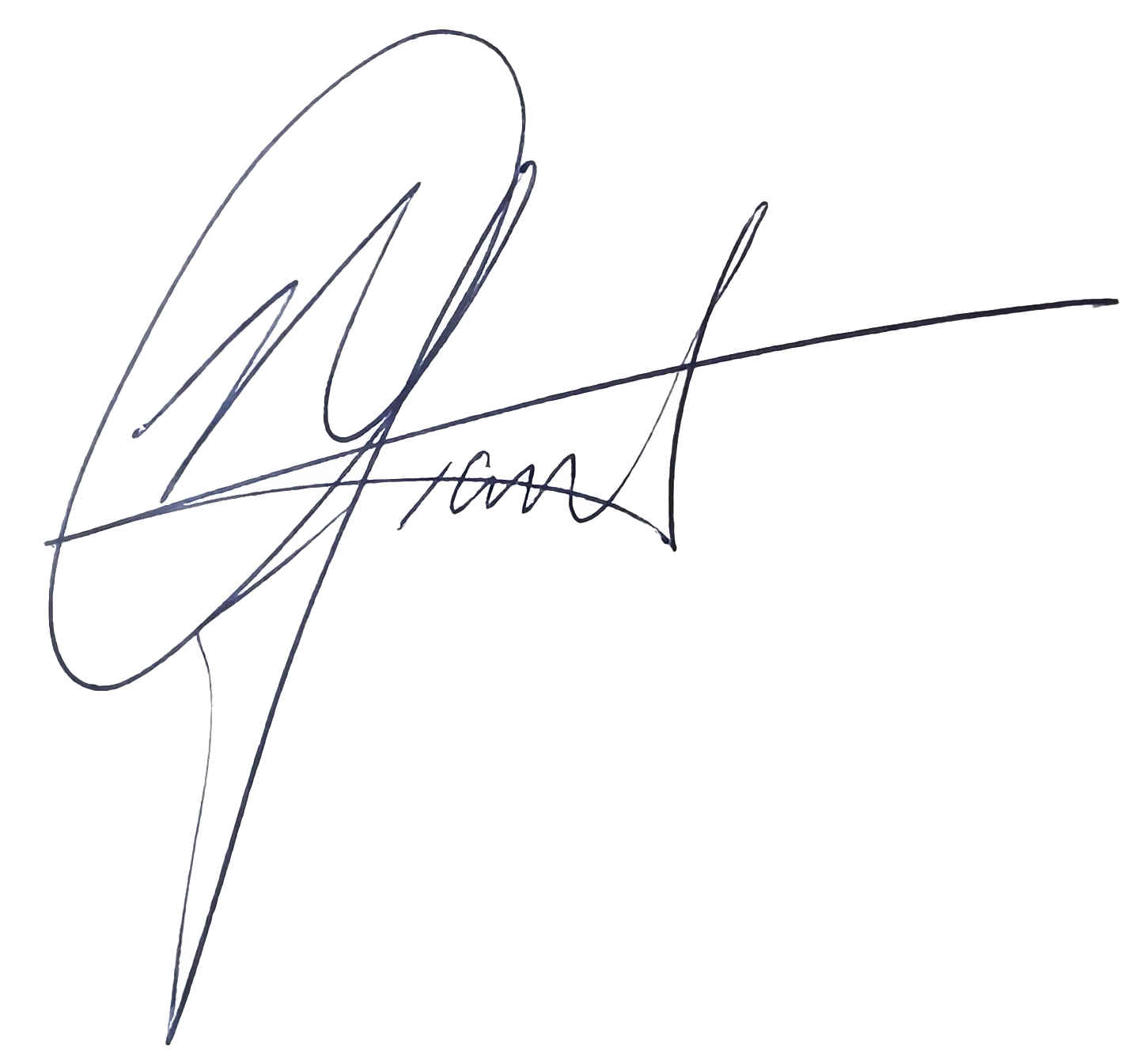 Black abstract handwritten signature-like scribble on a white background