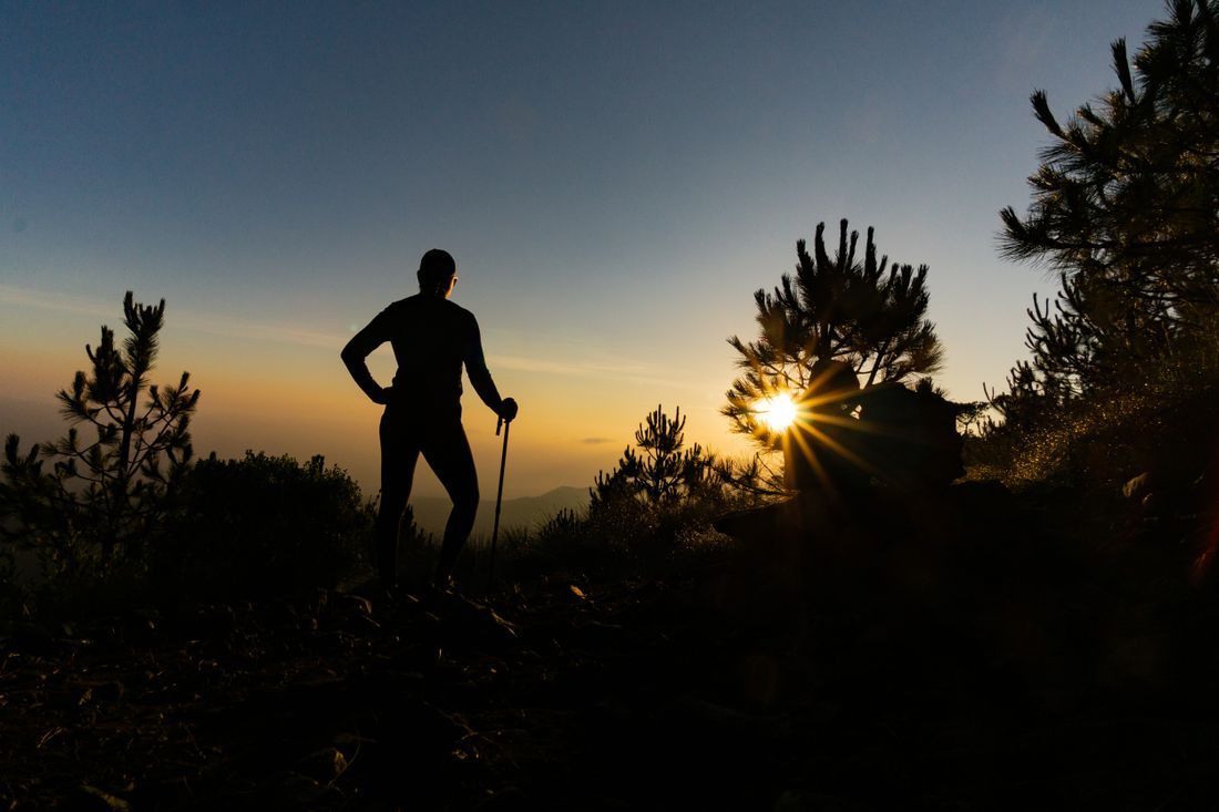 Silhouette of a hiker on a trail at sunset, with trees and a bright sun low on the horizon