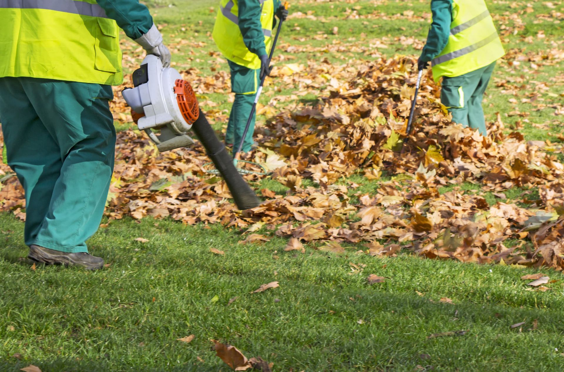Debris and Waste Removal | Bob’s Tree Service