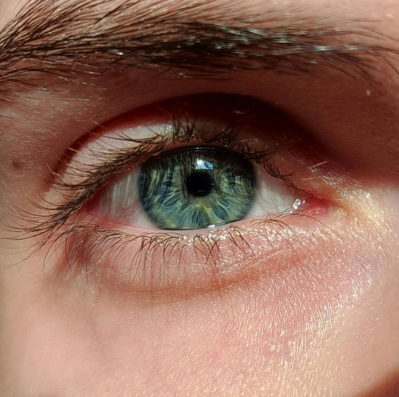 lavewiews optical content