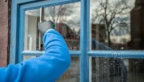 A person is cleaning a window with a brush.