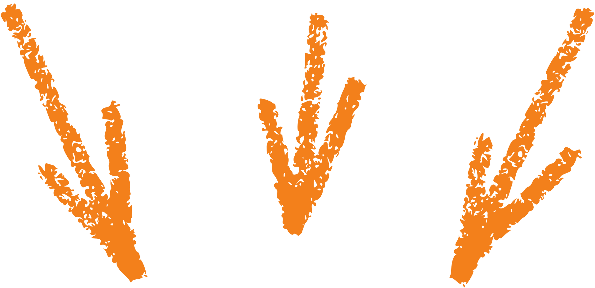 Three orange hand-drawn arrows pointing downward on a white background