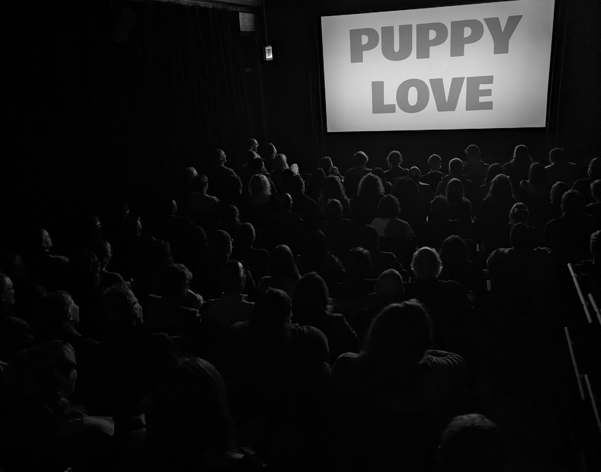 Audience watches a movie, 