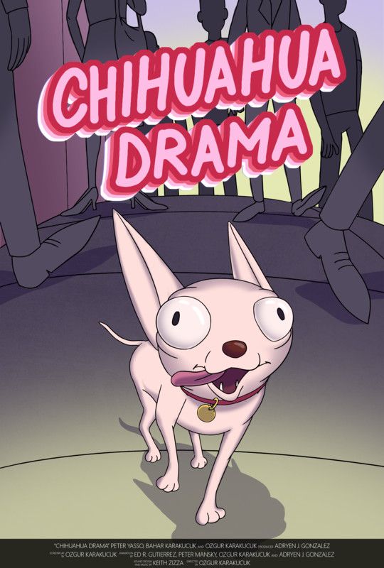 Chihuahua with bulging eyes and tongue out, title
