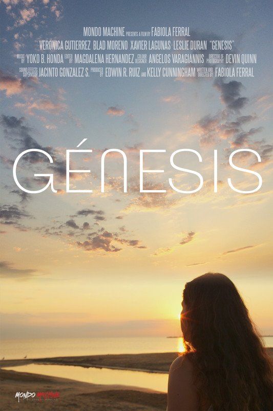 Woman watching a sunset on a beach; movie poster for
