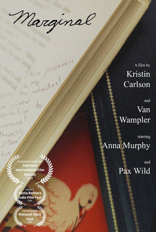 Poster for the film