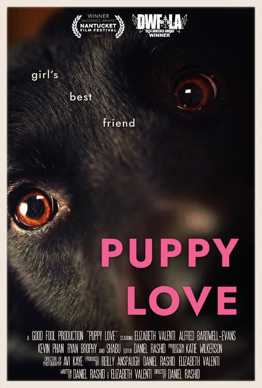 A close-up of a black dog's face, with the text