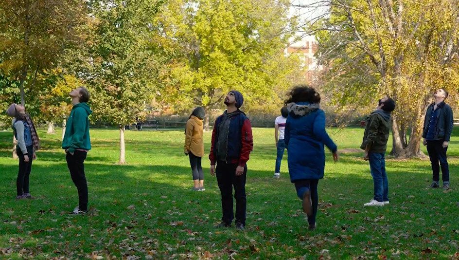 A group of people looking up in a grassy park on a sunny day.