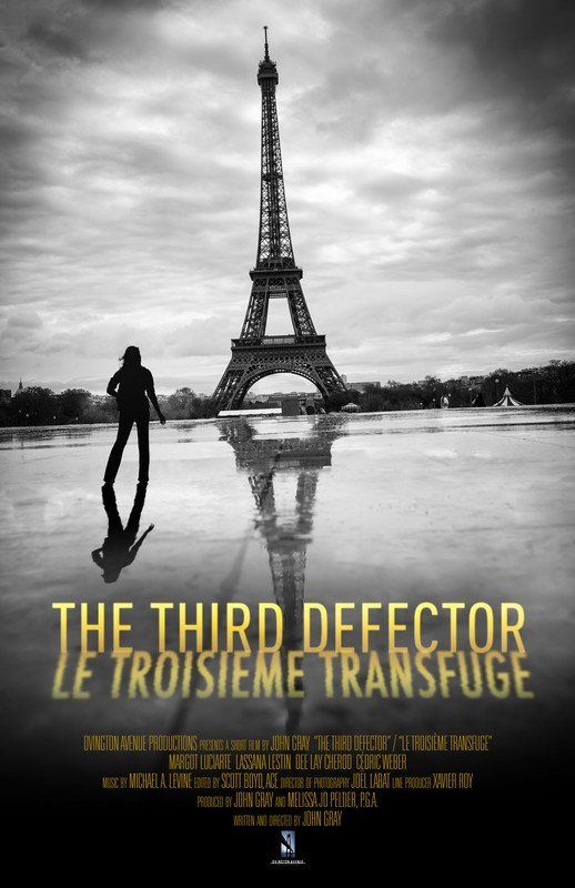 Eiffel Tower reflected in water, a woman stands facing it, French movie poster: