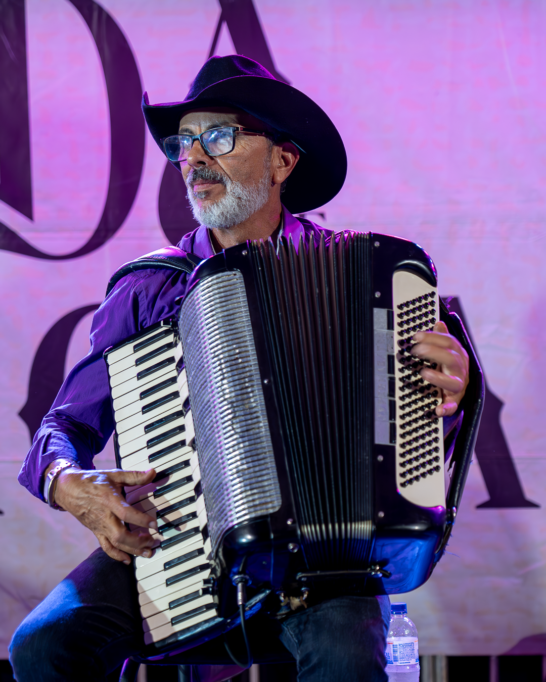 Roda de Viola