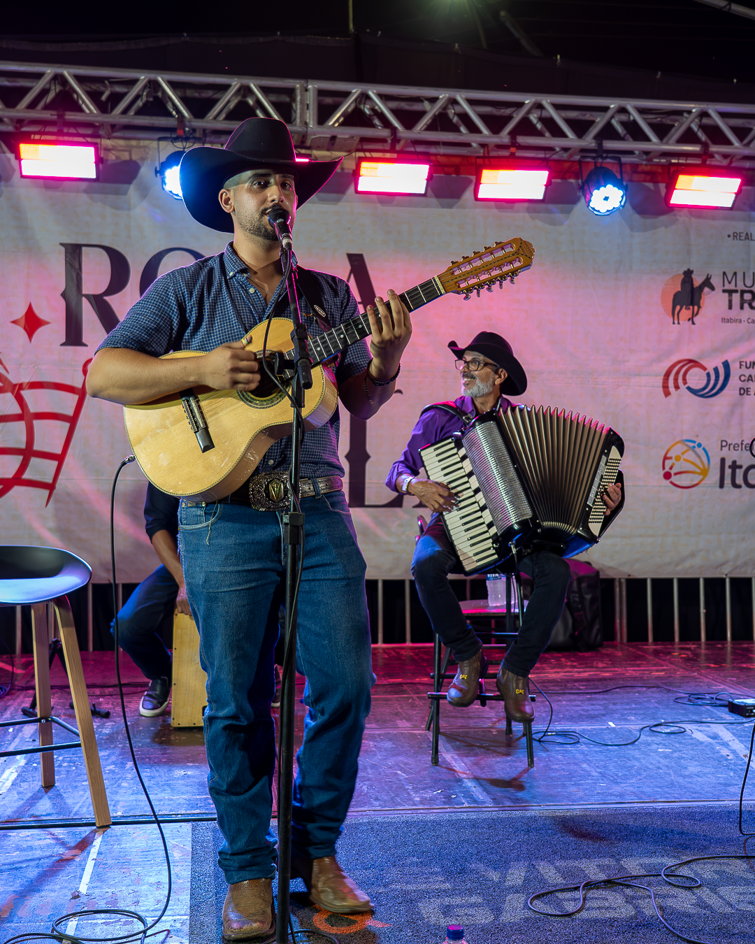Roda de Viola