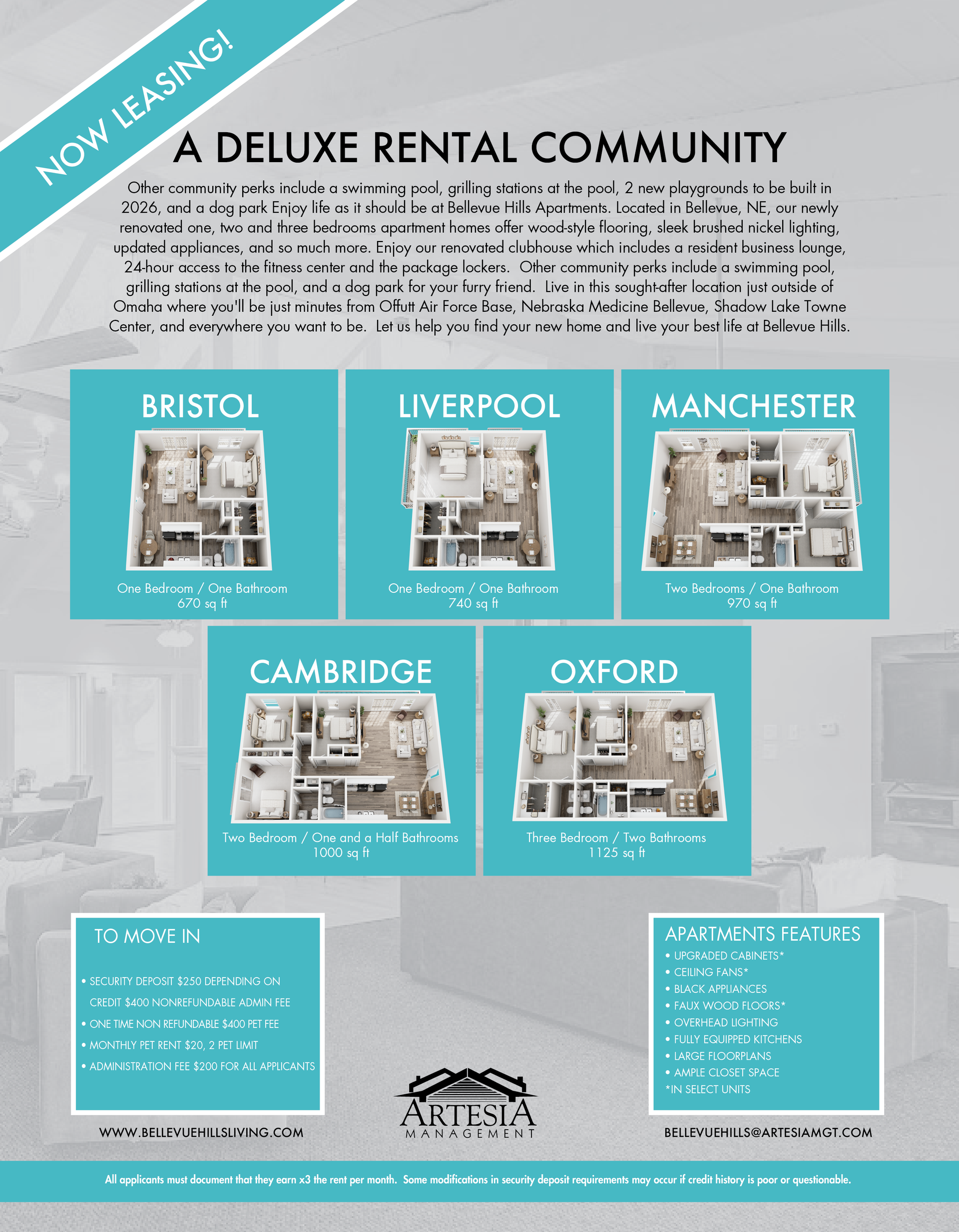 Rental Flyer Back