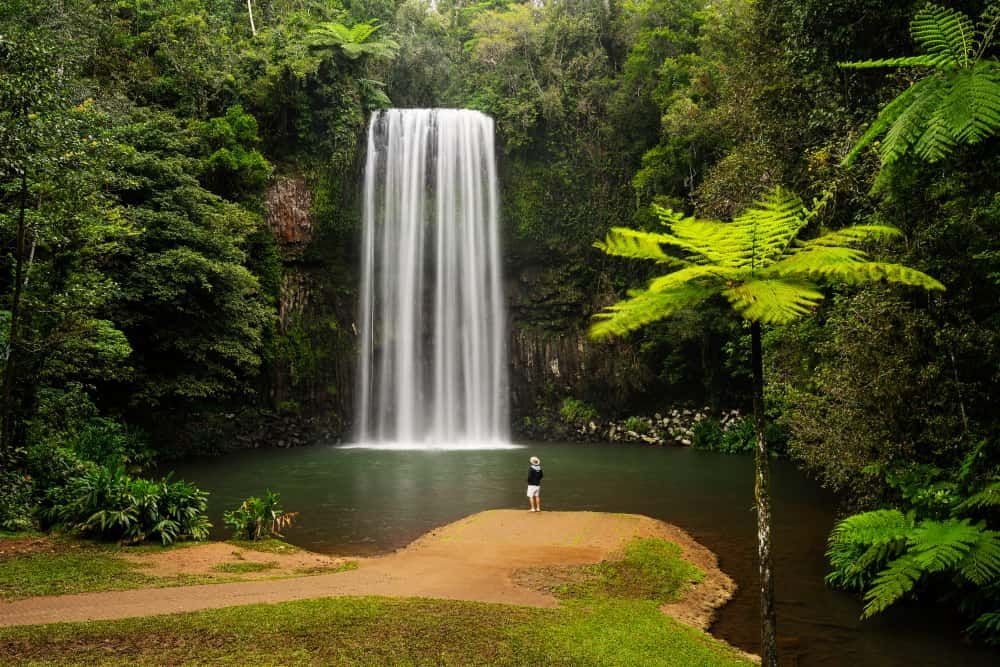 Waterfalls Tropical — Catalyst Accounting & Tax in Millaa Millaa, QLD