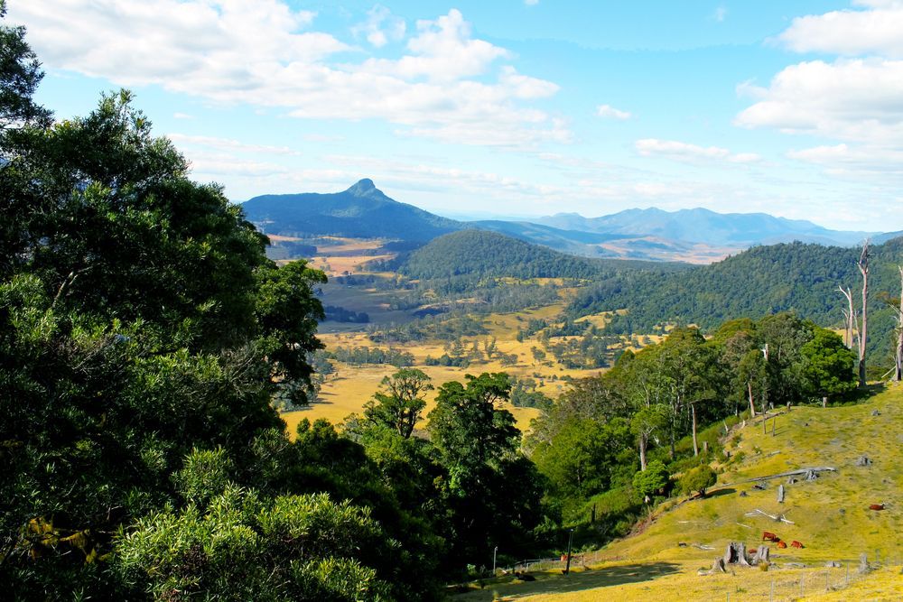 A View of a Valley With Trees and Mountains in the Background — Catalyst Accounting & Tax in Killarney, QLD